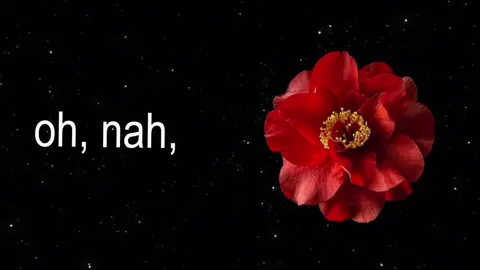 oh, na na na! #treysongz #lyric #fyp #lyrics #tipografia 