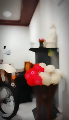 #d2 #dtracker #fyp #foryou 🤍🦄