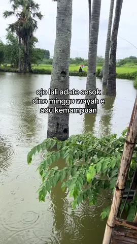 Tag bolo mu cah 🫵🏻 #storymancing #hobymancing #mancingmania #fypage #viral 