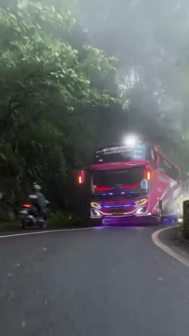 style cool🥶🥶 #fyp #wildanputrajaya #haseena #xyczba #masukberanda 