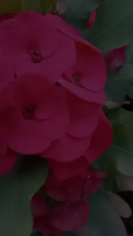 #CapCutMotivacional #CapCut #apoyo #paratiiiiiiiiiiiiiiiiiiiiiiiiiiiiiii  #seguidores sábado buenos días sábado buen día feliz día noviembre 2025 