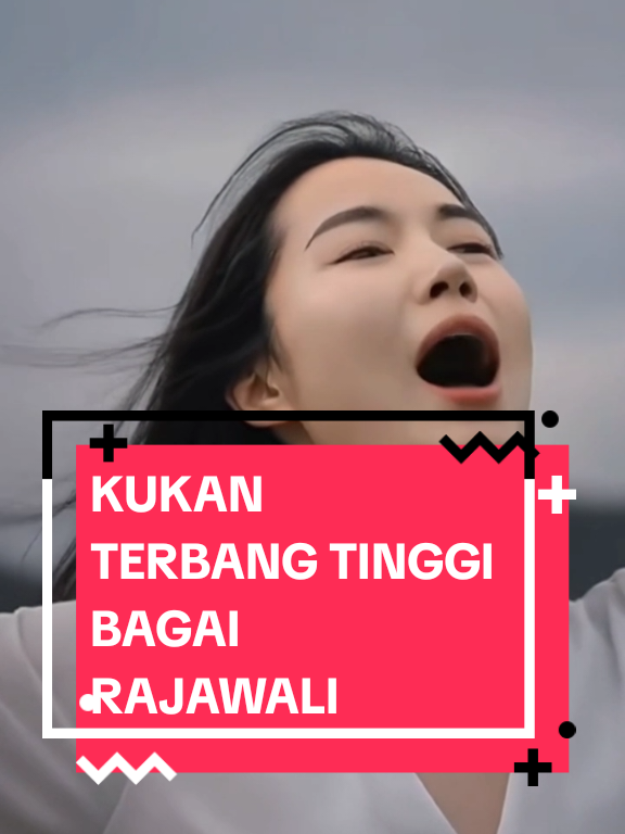 KUKAN TERBANG TINGGI BAGAI RAJAWALI #lagurohanikristen #praiseandworship #pujianpenyembahan #fyp #kukanterbangtinggibagairajawali 