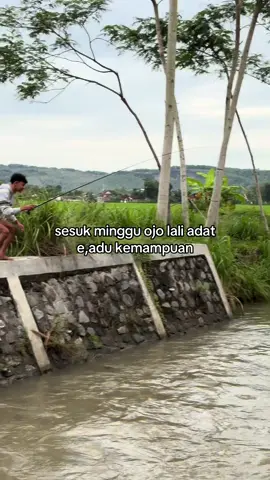 ikan bolo #tawessiripmerah #mancing #fyp #tulungagung24jam 