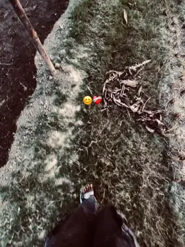 একজনের পতী কেনো এতো মায়া ❤️‍🩹😊-- #foryou #viraltiktok @Numan Kawser #100kviews --?