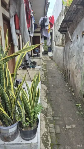 kereta api cepat indonesia #keretaapicepat  #keretaapi 