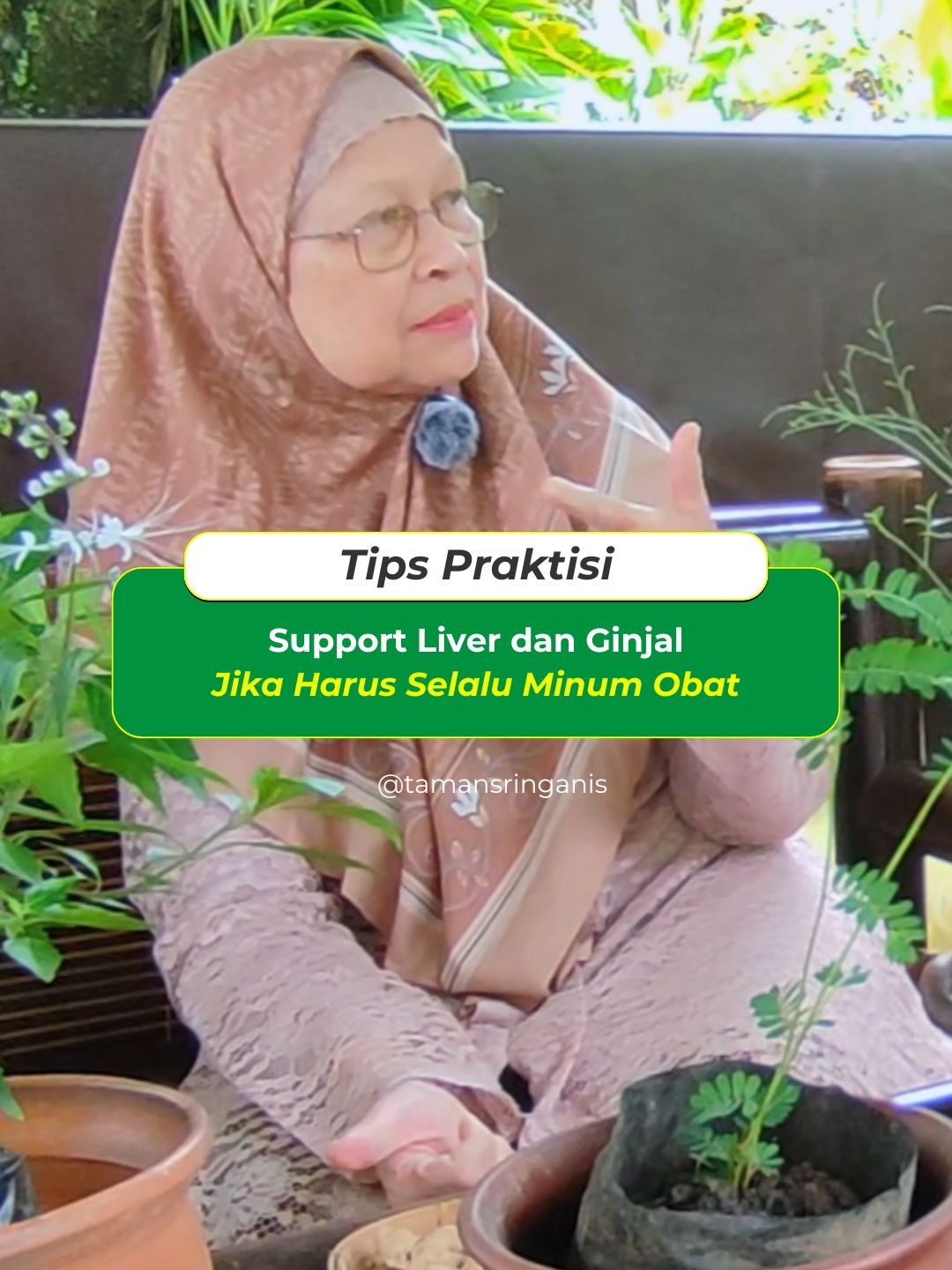 Support Liver & Ginjal jika harus selalu mengkonsumsi Obat-obatan kimia agar terhindal dari gagal Ginjal #tamansringanis #gagalginjal #tipskesehatan