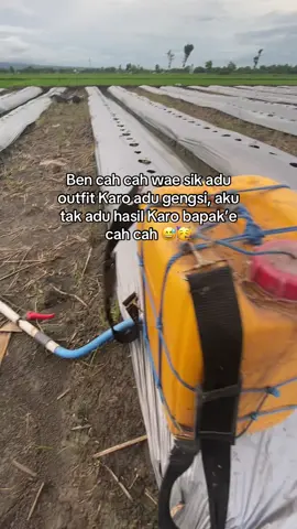 #fyp #fyppppppppppppppppppppppp #petanimuda #petaniindonesia🇮🇩🇮🇩🇮🇩🌿🌿 #petanimilenial 