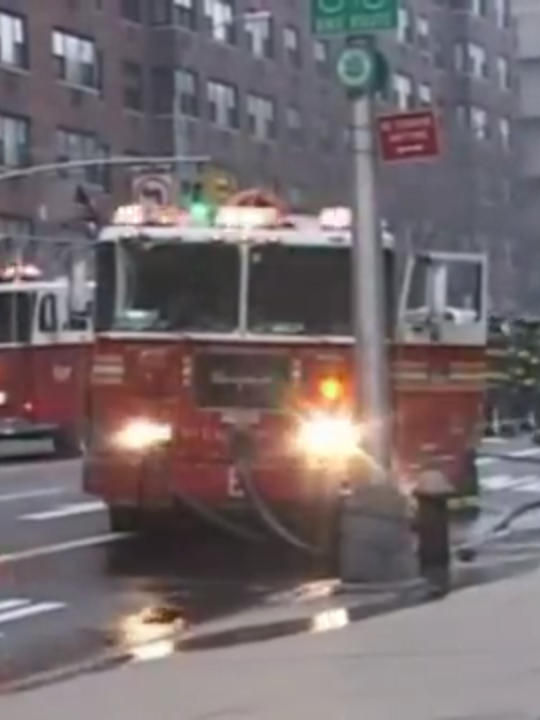 Liz Mc Nicholl The  Bravest