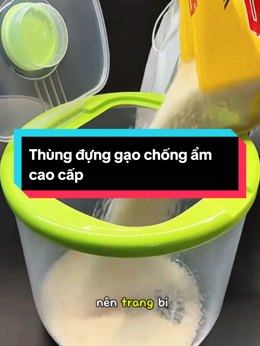 Thùng đựng gạo chống ẩm cao cấp#thunggaothongminh #thunggaogiadinh #thungdunggao10kg #thungdunggaochongam #thungdunggaotrongsuot @yumi.gia.dung 
