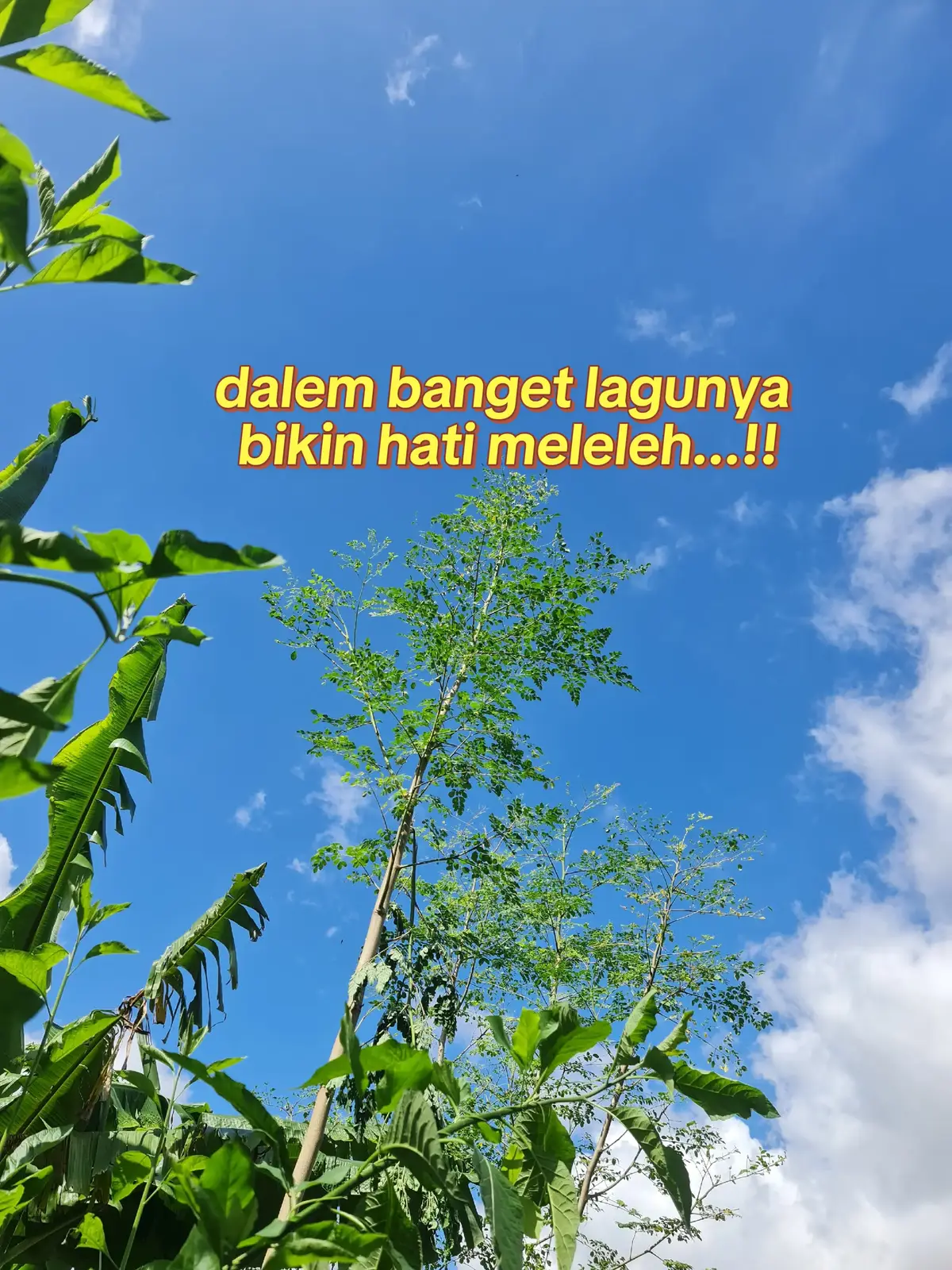 #fyp #fyppppppppppppppppppppppp 