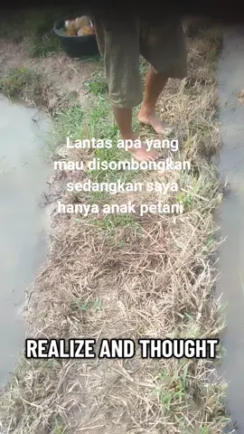 .wong deso .. . . . . #foryou #pyf#petanimuda #pppppppppppppppp#meme 