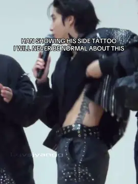 #straykids #straykidseverywhereallaroundtheworld #스트레이키즈 