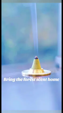 Handmade mint incense—fresh, cool, and uplifting. Light it up and let the clean minty scent refresh your space and brighten your mood. Perfect for busy days, long study hours, or anytime you want a fresh atmosphere 话题： #MintIncense #HandmadeIncense #FreshVibes #NaturalAroma #HomeFragrance 