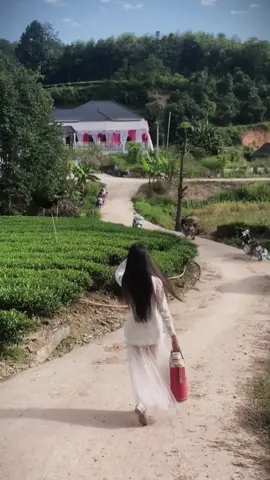 làm rể Thái khong anh 🤓 #xh #thainguyen #trathainguyen 