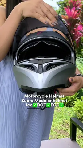 Full face modular helmet from zebra #formotorcycle #zebrahelmet #fullfacehelmet #ridesafe #fypage 