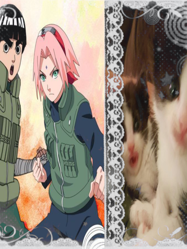 𓎢𓎡﹒SAKURA || 𓎢𓎡﹒ROCK LEE || ˚₊‧꒰ა ♱ ໒꒱ ‧₊˚ || Siempre taijutsu nunca  genjustu 🔥 ◡ᐩ ︶◟   ྀི   ◞︶ᐩ◡ #sakuraharuno  #paratii #noflop #ROCKLEE #pinchetiktokponmeenparati 