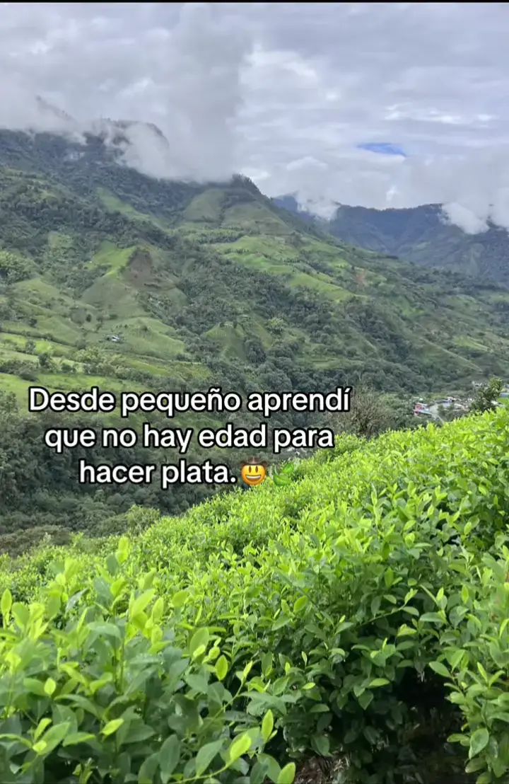 #frasesbelicas🍀📿🧿_belicones🧿☘️💸💎 #frasesbelicas🍀📿🧿_belicones #amen🙏 