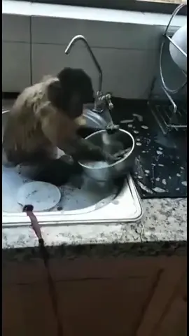 não ouviu a mãe da nisso 🤣