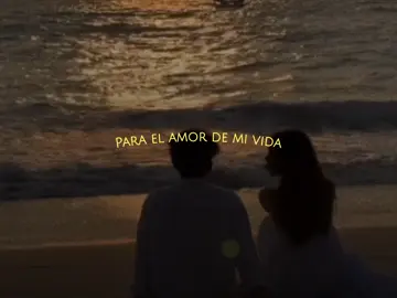 Silvestre Dangond-Una vaina bien 🤭❤️ #music #letrasdecanciones #rolitas #videolyrics #lyrics 