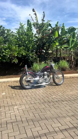Ceriakan harimu dengan cocoperan 😁  #custom #handmade #vanguard #diesel #chopper 