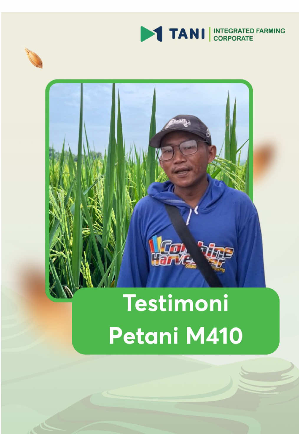 Hasilnya Memuaskan, Malainya Panjang Testimoni Pak Rudi, Petani Bojonegoro. Padi M410 kembali membuktikan kualitasnya. Menurut Pak Rudi, hasil panennya sangat memuaskan malai panjang, batang kokoh, dan tahan roboh meski cuaca tidak menentu. Ingin bukti di lahan sendiri? Segera dapatkan benih padi M410 di toko pertanian terdekat ✨ #MTani #PadiM410 #TestimoniPetani #PetaniBojonegoro #BenihUnggul    