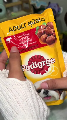 Pedigree Wet Food for Furbabies #pedegree #wetfood #pouch #fyppppppppppppppppppppppp 