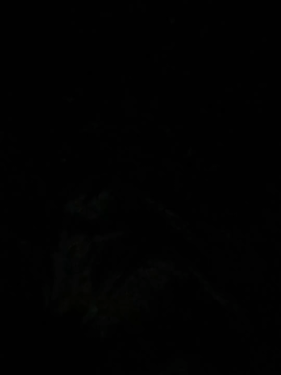 Volverá...💔 #paratiiii #viralentiktok #iñigomartinez #fcbarcelona #videoviral 