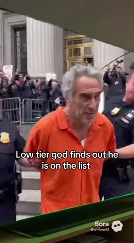 #ltg #meme #funny #epstein #list 