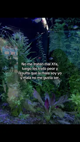 #fyp #parati #screenvideo 