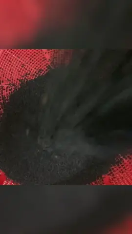 Mỗi buổi tối dùng 1 ly bột mầm mè đen, đậu đen xanh lòng loại mỹ phẩm giữ dáng, giữ da và tóc, Giúp bổ huyết, bổ can thận, Giúp dưỡng tóc, chắc xương, máu huyết lưu thông, da trắng sáng, Hồng hào, giúp ngủ ngon và sâu giấc,… #botmammedendaudenxanhlong #xuhuong 