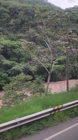 #Amazonas #chachapoyas #paisajesnaturales💚💚 