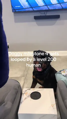Doggy M4 (Rottie) gets looped#xyzbca #forsaken #forsakenroblox credit: @Kite 