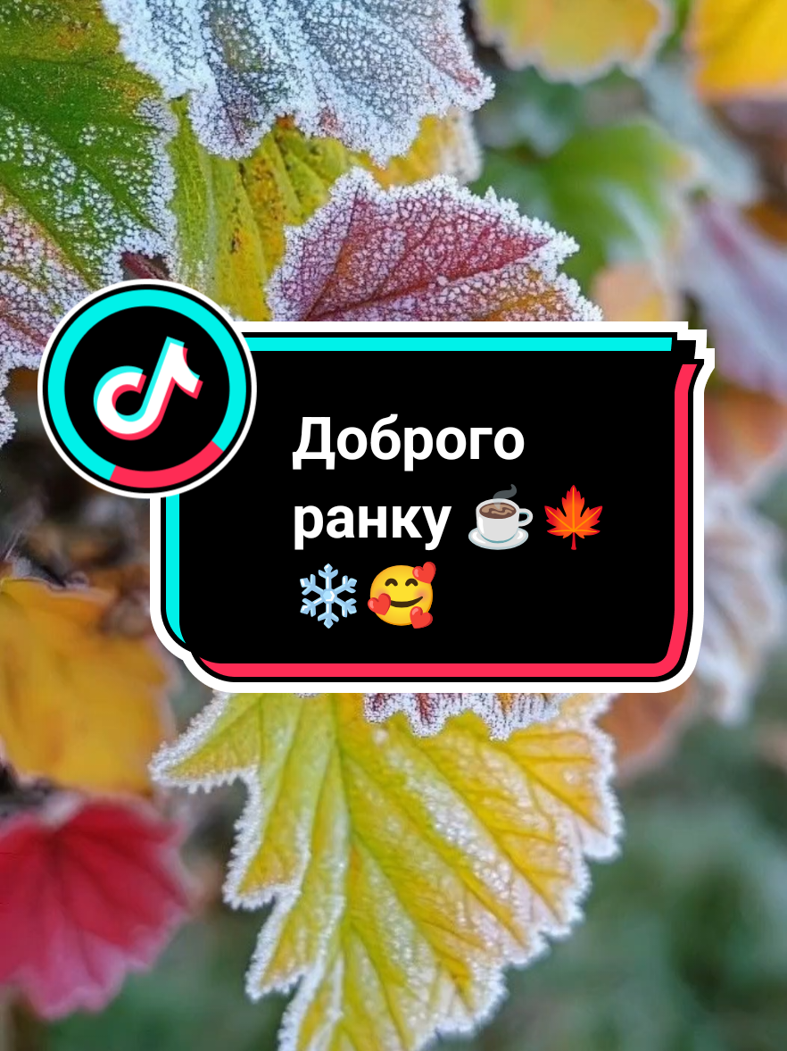 #CapCut#доброгоранку #☕🍁☀️❄️ #рекомендації 