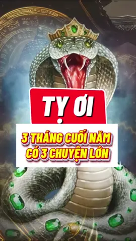 Tuổi tỵ 3tháng cưới năm có 3 chuyện lớn  #tuoity🐍 #1989 #2001 #1977 #tuvi 