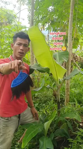 sangkan babari nyien konten 😬 #fyp  #padahariini #creatorsearchinsights 