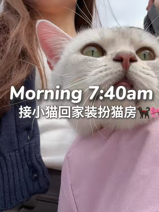 Daily vlog #cuocsongthuongngay #cuocsongconangdocthan #fypp #daily #dailyvlog