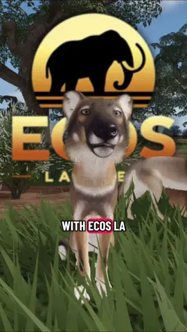 #ecoslabrea i’m so excited to have private servers nexxttt ! #ecoslabrearoblox #roblox #kitty #ecos @Ecos: La Brea 