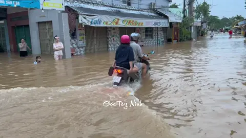 Chợ Cua Vĩnh Long  #muanuocnoi #goctayninh #lulut #vinhlong #chocuavinhlong 