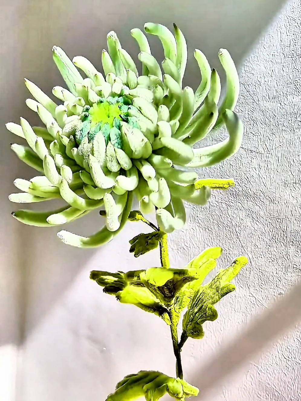 #toptrending #tet2026 #decor #trangtrítết 