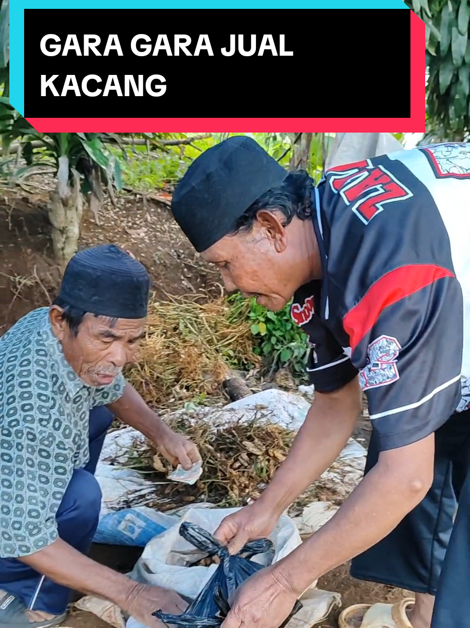 GARA GARA JUAL KACANG#foryou #fyp #viral #hiburan 