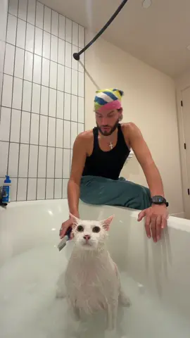 First and last time giving him a bath  Theodore 1 me 0💀 #fyp #cats #catsoftiktok #catbath #bryanthediamond 