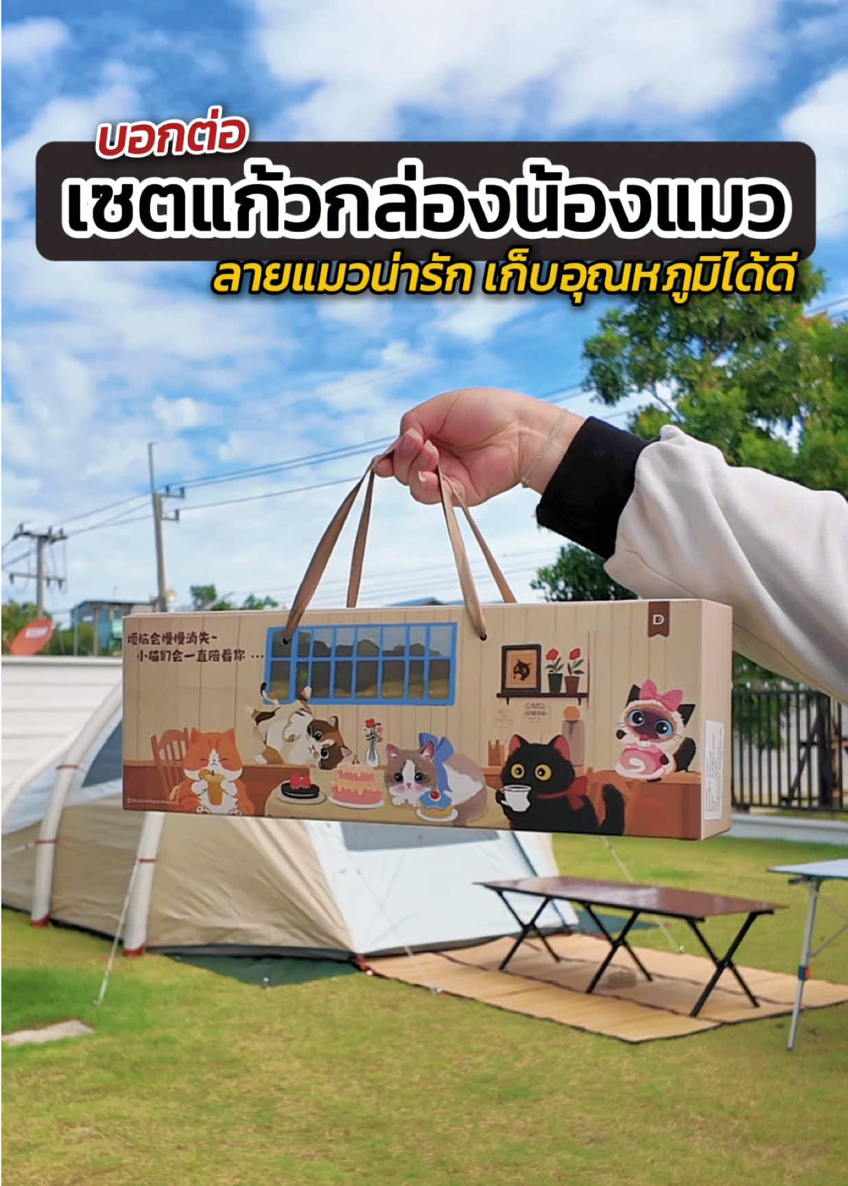 ป้ายยา เซ็ตแก้วลายแมว แก้วเก็บอุณหภูมิ กระติกน้ำร้อน พกพาง่าย เก็บความร้อนได้ดี น่ารักมาก #แก้วเก็บอุณหภูมิ #แก้วเก็บอุณหภูมิร้อนเย็น #กระติกน้ําร้อน #แก้วสแตนเลส #diller 