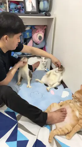 Ang hirap multi tasking sa mga amo ko #fyp 