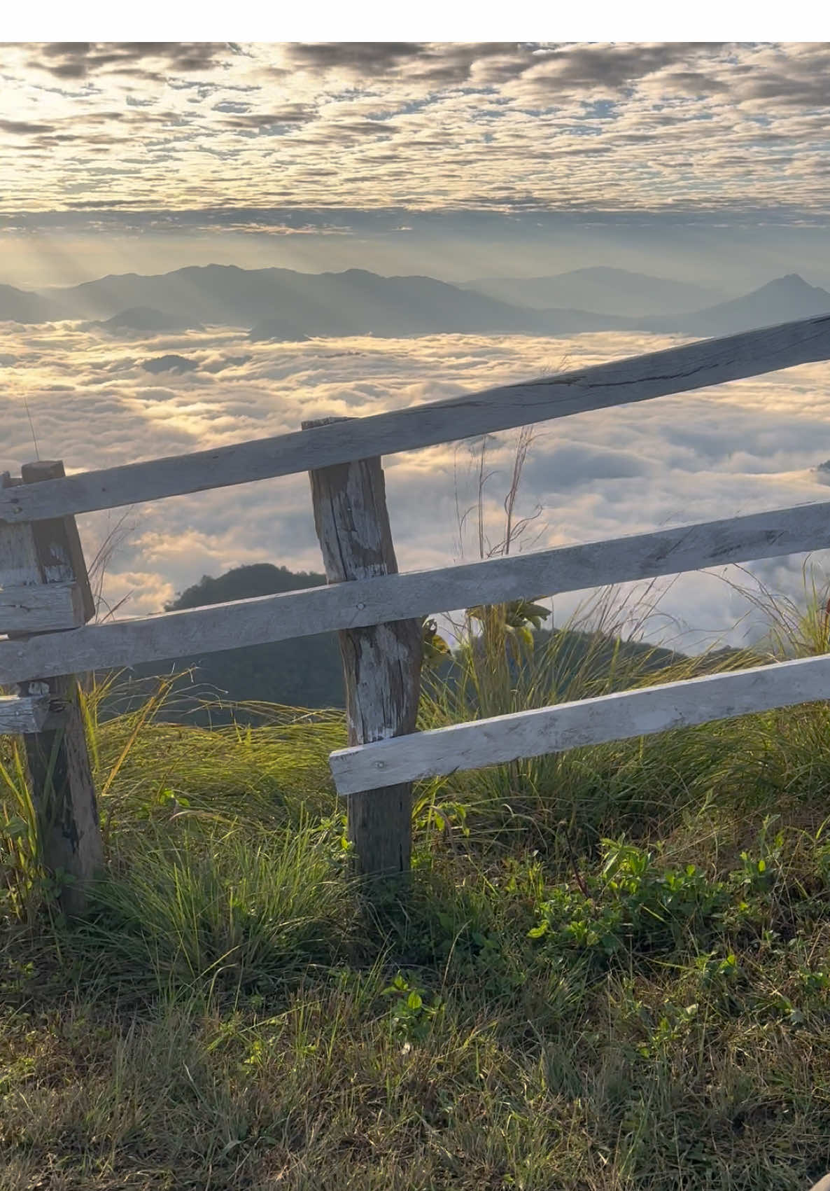 รางวัลของการตื่นเช้า ☺️😊✨ #ภูเขา #หมอก #ทะเลหมอก #ภูชี้ดาว 