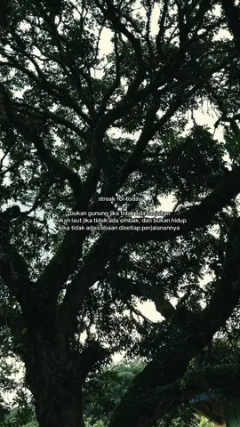 #quotes #motivation #streak🔥 #fyp #foryou #foryoupage 