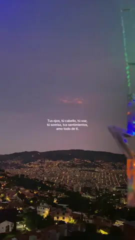 Todo de tí. 💫✨ #fyp #teamo #amor #dedicarvideos♡ #fotyoupage 