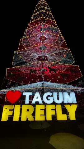 🥰🫶😍 #newcityhalltagum #christmaslight2025 
