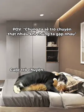 nói dc 3 chữ “um, á, ớ” suốt buổi thôi đó 🫵 #memes #couple #cat #relatable #tiktokgiaitri 
