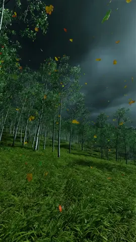 #vibes #aesthetic #nature #naturevibes #calmingvibes 