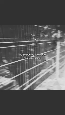 #frases #cosejos #rolitas 